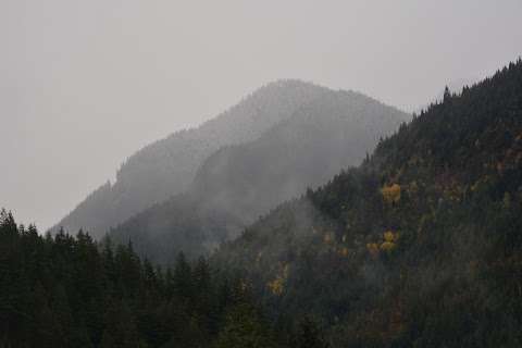 McRae Creek rest area